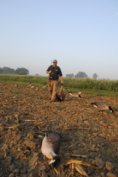 Joe Robison retrieves fallen geese from a picked sweet corn field.