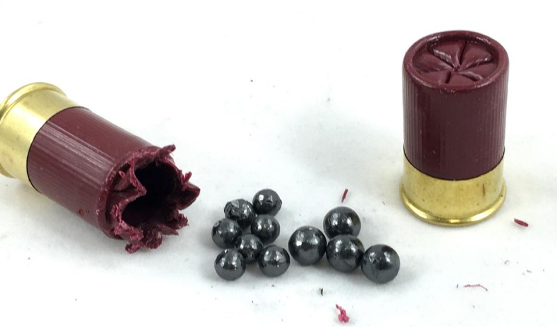 Aguila crams 11 pellets into one of these tiny buckshot loads.