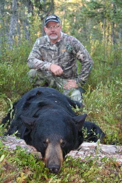 Can you picture yourself sitting behind a big bear like this one? Bear hunting is adrenaline charged and one of the least expensive guided hunts. Image courtesy of Bernie Barringer.