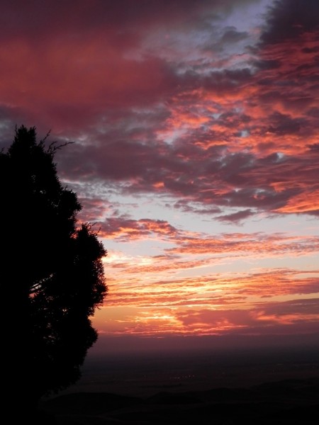 A sunrise at Twisselman Ranch. Image by Dennis Dunn.