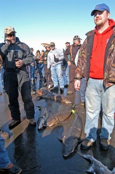 A sturgeon season’s success is determined mostly by water clarity, which varies by the year and locations on Lake Winnebago and its upriver lakes of Poygan, Winneconne and Butte des Morts.