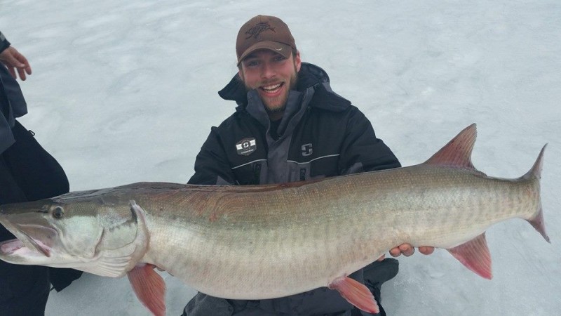Nicholas Colangelo joined the 50-inch muskie club with this behemoth fish. Image from Facebook.