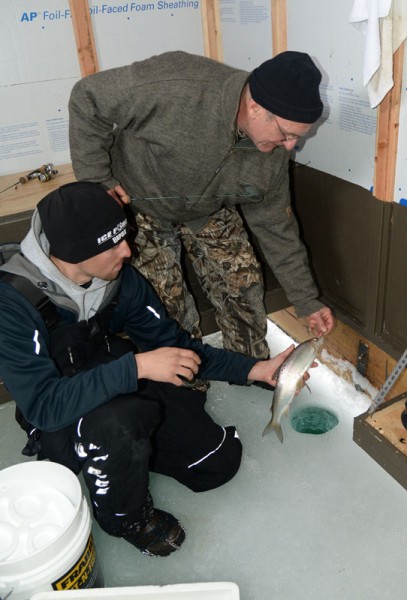 J.J. Malvitz of Sturgeon Bay helps Patrick Durkin land a whitefish Tuesday on Green Bay.
