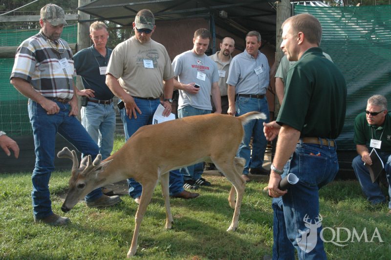 A great deal of information about whitetail biology is available through the program. 