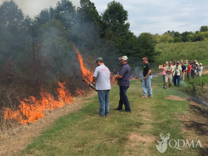 Prescribed burns are a part of the instruction on habitat improvement.