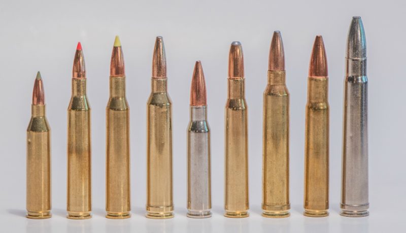 The .308 Winchester cartridge in the middle is not the longest, most powerful, or fastest. But, as big-game cartridges go, it is the most balanced.