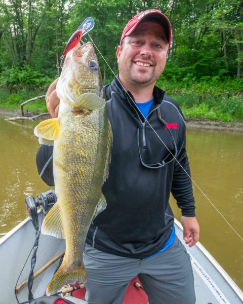 The author fooled this big walleye with rusty-colored Shad Rap.