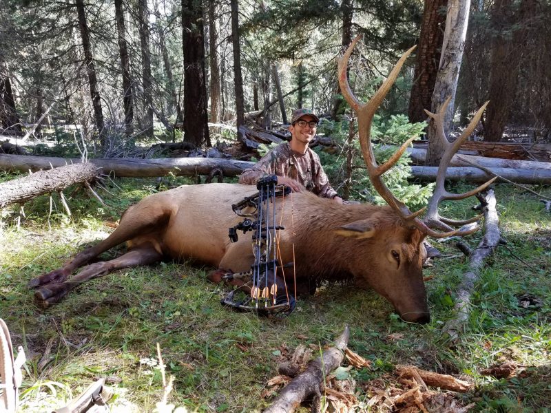 Magnus Stinger Buzzcuts are a great choice for all big game. Check out this recent photo from Tomas Trujillo with a bull elk taken with a Buzzcut.