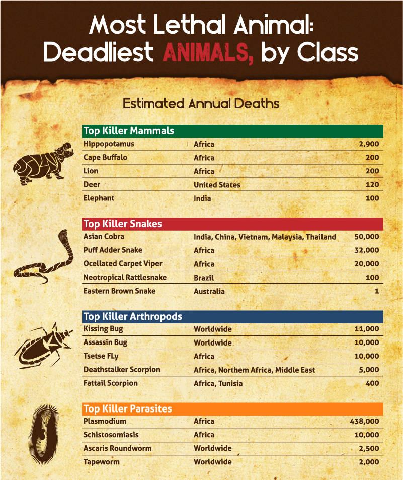 Infographic: The Deadliest Animals in Each State | OutdoorHub