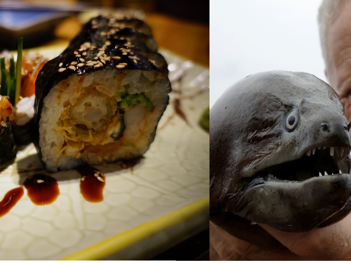 4 Ugly Fish That Taste Delicious