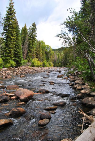 The Elk River Valley is a photographer's dream destination.