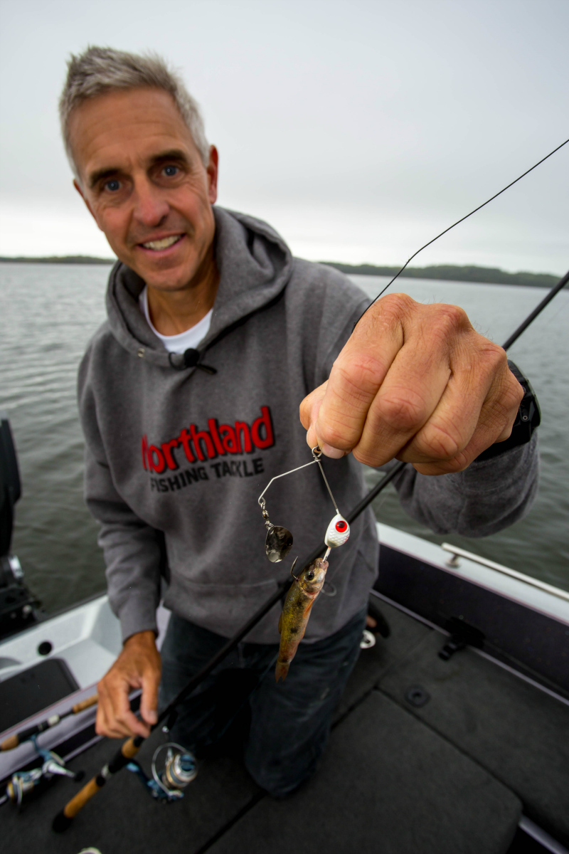 northland-tackle-mimic-minnow-spin-with-chip-leer