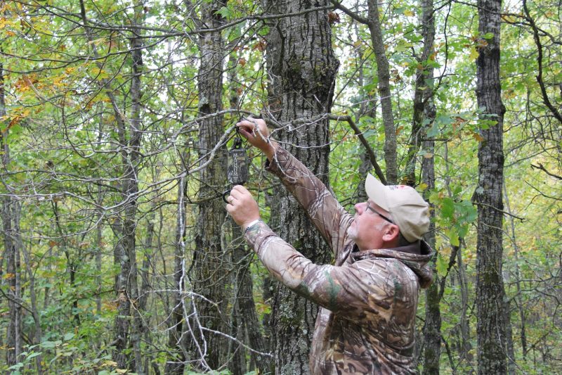 Using scents and lures to attract bucks is a strategy that’s at its best in October. A scrape dripper watched over by a scouting camera helps you get an inventory of the bucks in the area, plus increases your odds of bringing those bucks in during daylight.