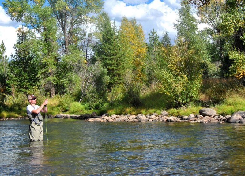 The author battling a trout on the Elk River.