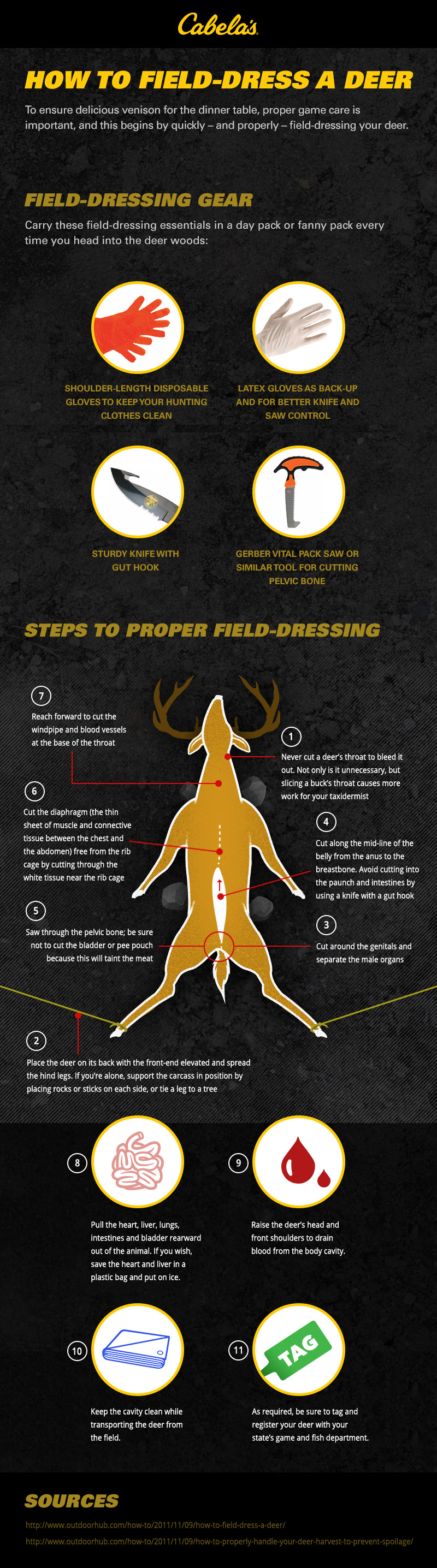 Best Way to Field-Dress a Deer