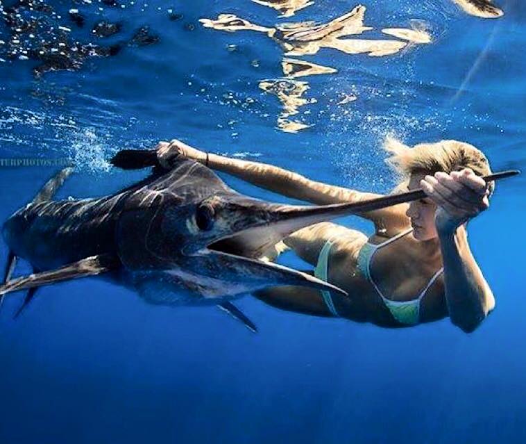 Brooke billfish-underwater