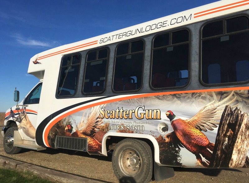 pheasant-bus ScatterGun