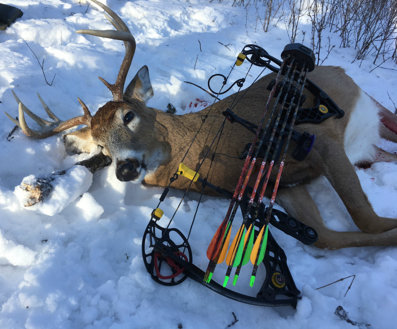 The author’s 2016 archery gear list included: Mathews Z7 bow (drawing 54 pounds at 27.5 inches), Schaffer GEN II drop-away arrow rest, Black Gold fixed-pin bowsight, KTECH stabilizer, Scott Little Goose release, Beman 400 arrows, 125-grain 4-Blade Magnus Stinger Buzzcut broadhead, and Bushnell “The Truth” rangefinder.